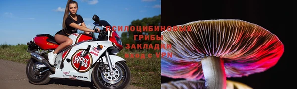 прущая мука Алзамай
