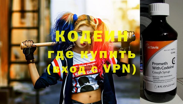 прущие грибы Абинск