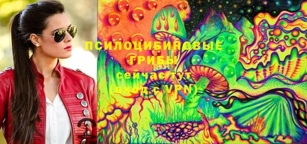 прущая мука Алзамай